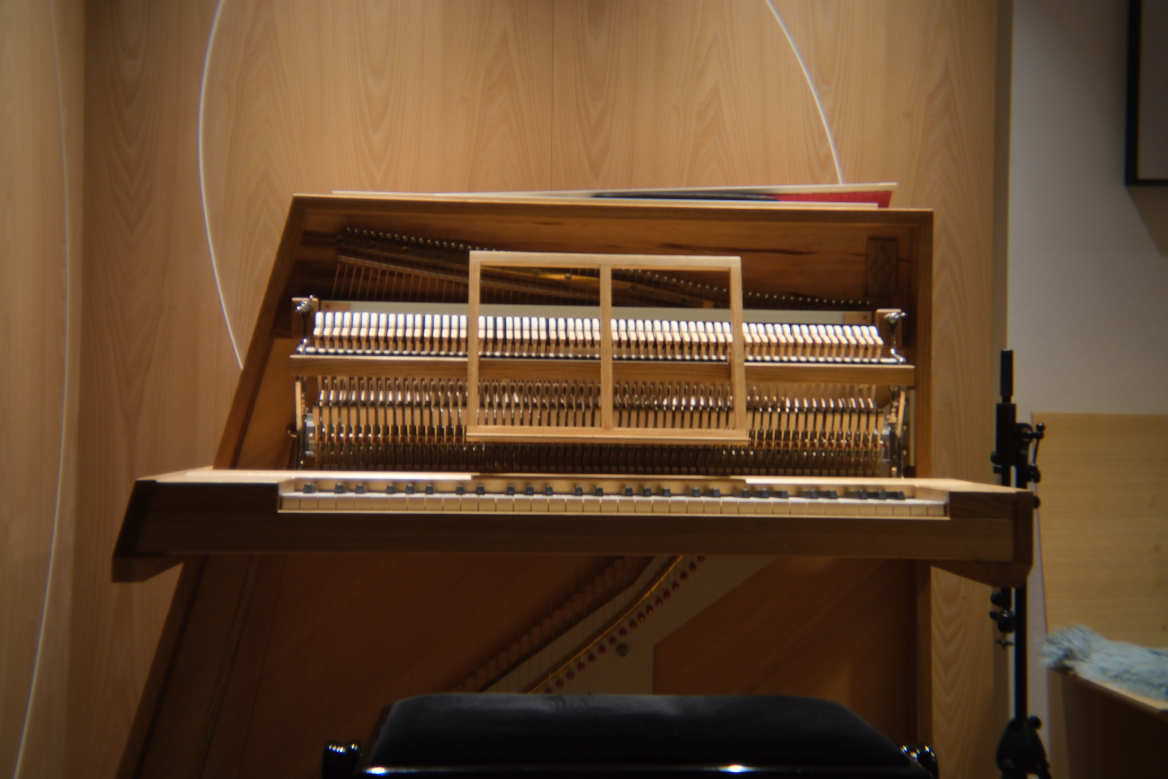 Una Corda Piano